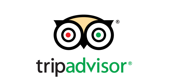 Trip Advisor User